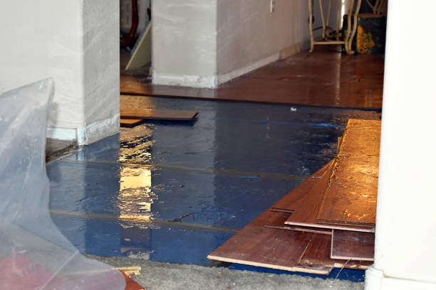 Professional Emergency Water Damage Restoration technician working in Jacobsburg, OH